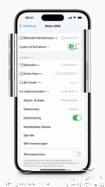 iPhone settings for an enabled travel eSIM